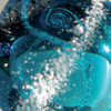teal
